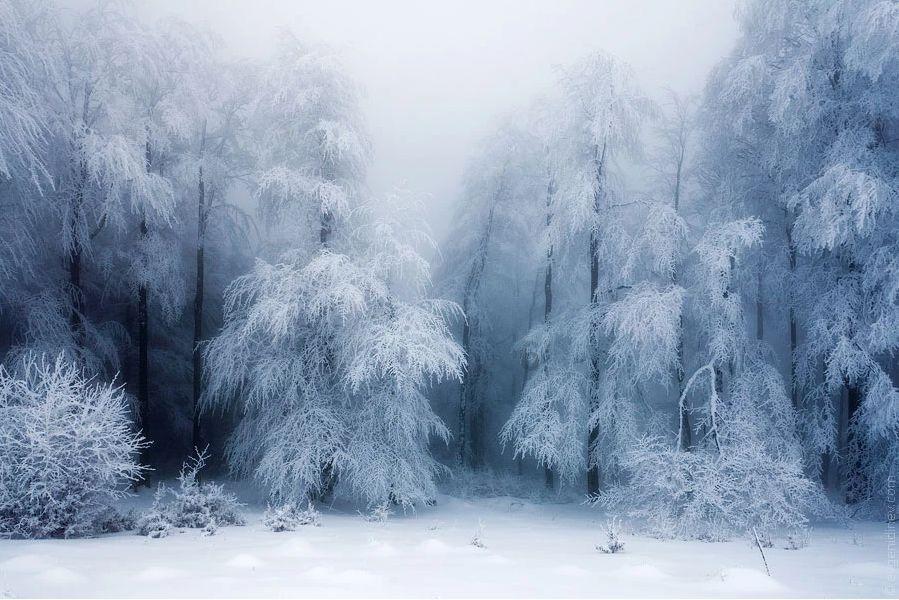 药师琉璃光如来